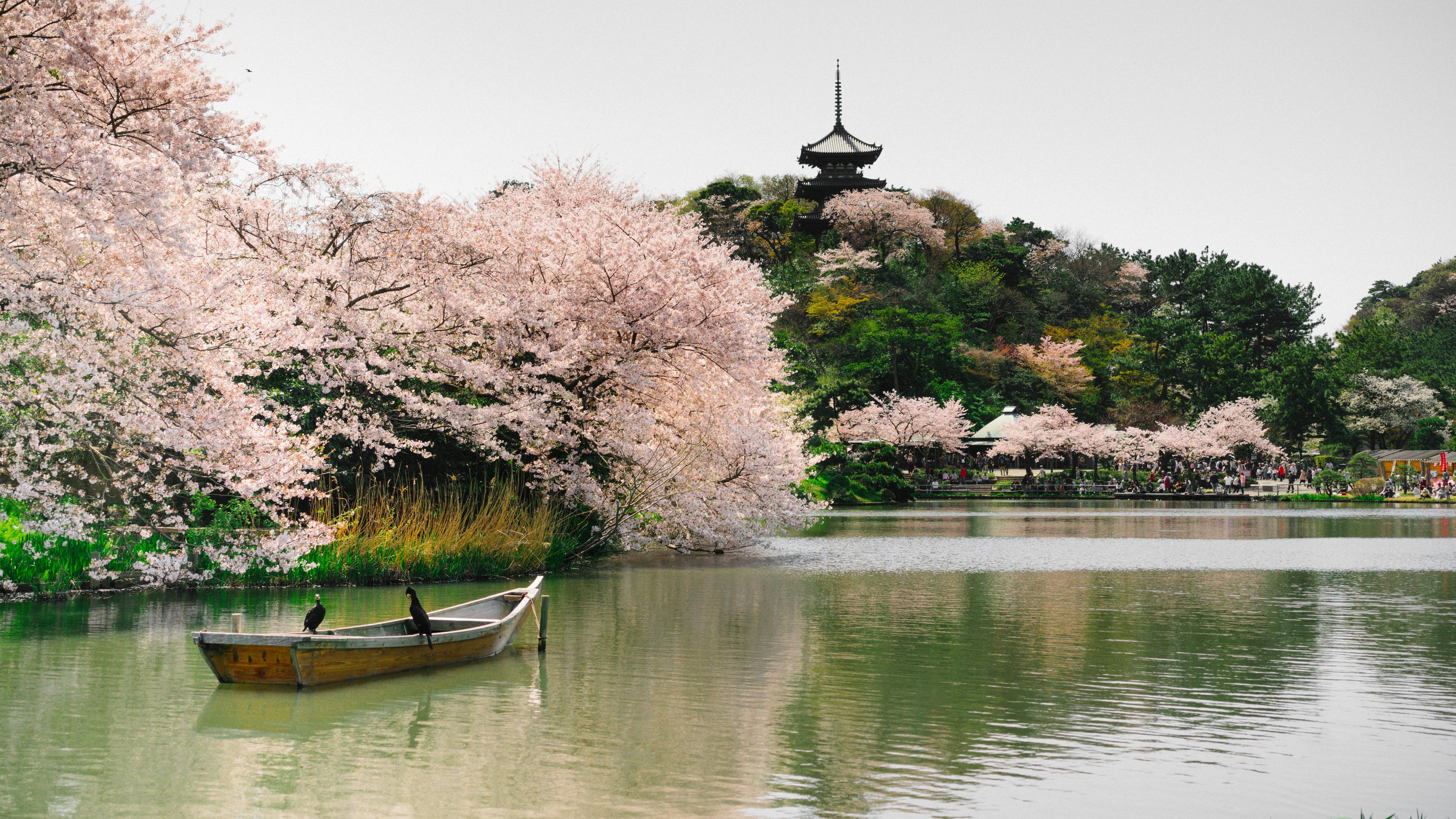 Tokyo, Japan